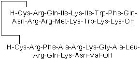 PKC β pseudosubstrate